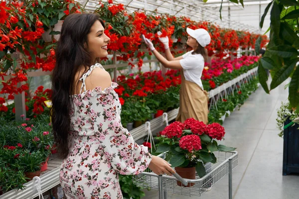 Brunette vrouw en jonge werknemer kiezen bloemen. — Stockfoto