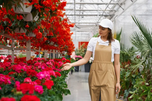 Woman in apron controlling growth of flowers at orangery — Stock Photo, Image