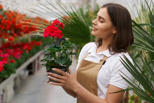 Zijaanzicht van vrouw met pot met rode bloem — Stockfoto