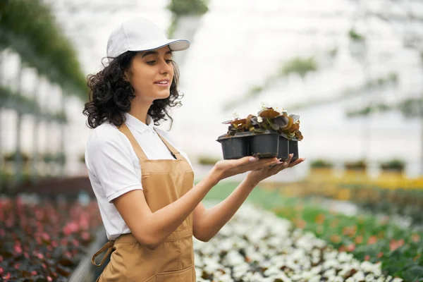 Young woman holding flower pot while standing at greenhouse — Stock Photo, Image