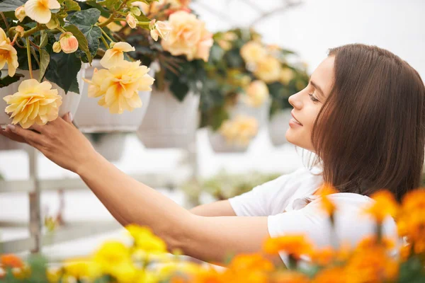 Positieve vrouwelijke bloemist het controleren van de groei van planten in potten — Stockfoto