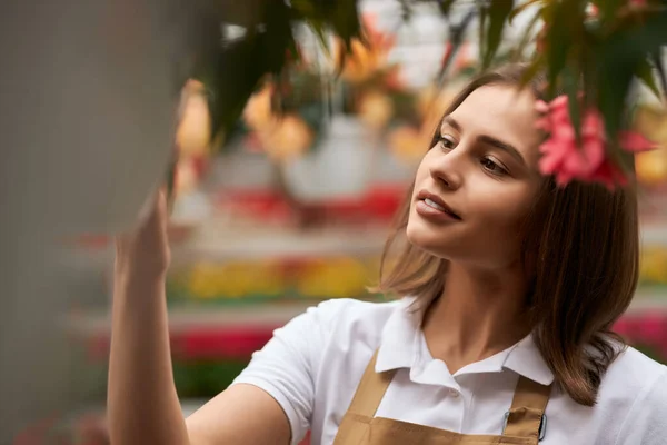 Vrouwelijke tuinman tussen de bloemen in de kas — Stockfoto