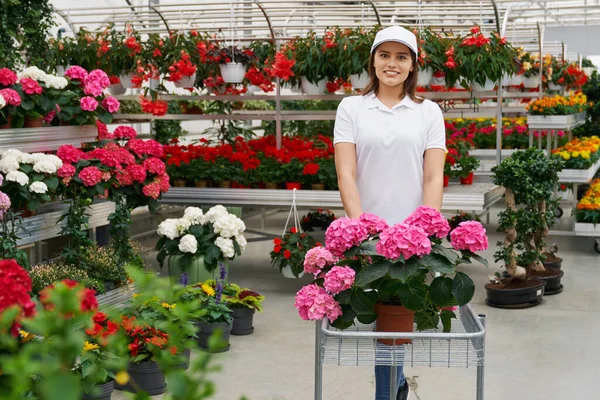 Smiling female worker with flowers at greenhouse — Stock Photo, Image