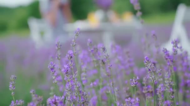 Wanita minum kopi di lavender field. — Stok Video