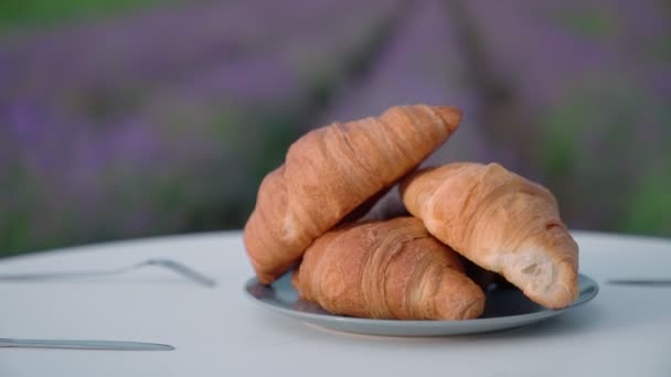 Croissanter på bordet i lavendelfält. — Stockvideo
