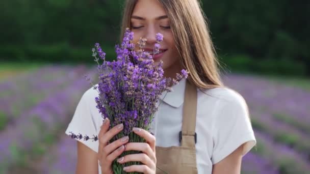 Menina feliz coletando flores de lavanda no campo. — Vídeo de Stock