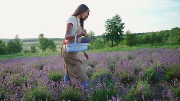 Улыбающаяся женщина идет с корзиной, лавандовым полем. — стоковое видео