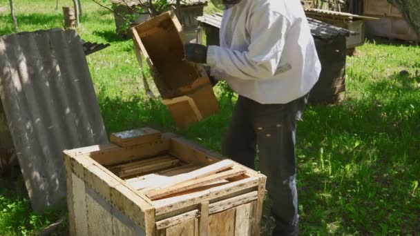 Erkek arıcı arıların kutusunu boşaltıyor.. — Stok video