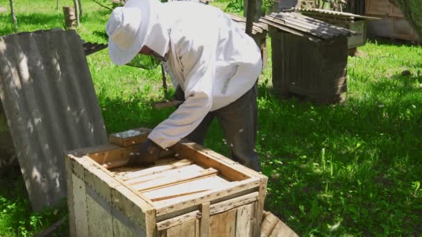 Imker im Schutzanzug arbeitet mit Bienenstock. — Stockvideo