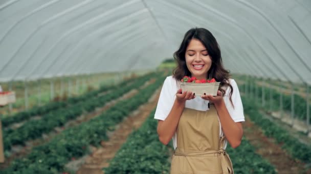 フレッシュジューシーなイチゴを楽しむチャーミングな女性. — ストック動画