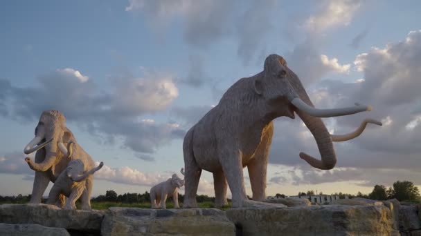 Huge mammoths herd statues outdoors. — Stock Video