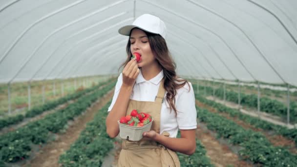 おいしいジューシーなイチゴを食べる魅力的な女性. — ストック動画