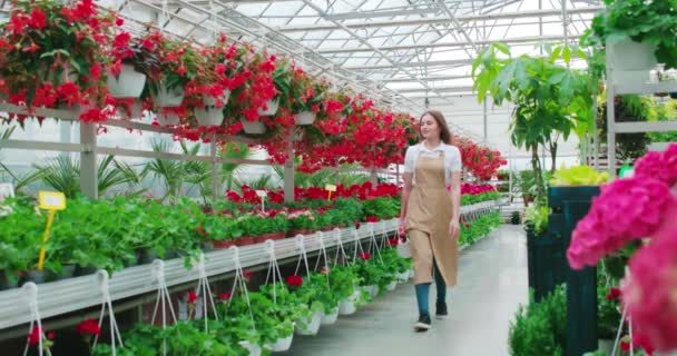 Mujer en delantal rociando flores de colores con agua — Vídeo de stock