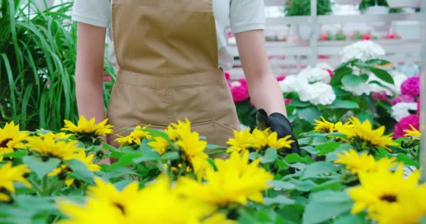 Blisko kobiety w mundurze przy użyciu doniczki do kwiatów — Wideo stockowe
