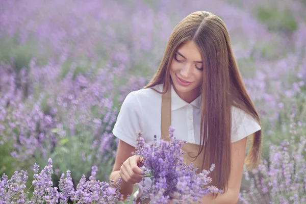 Onnellinen tyttö kerää laventeli kukkia alalla. — kuvapankkivalokuva