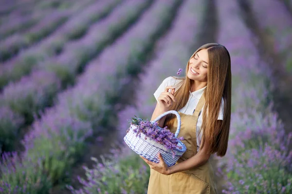 Gadis bahagia berpose dengan keranjang, lavender patch. — Stok Foto