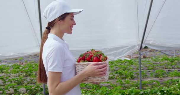 Panier femme avec fraises fraîchement cueillies — Video