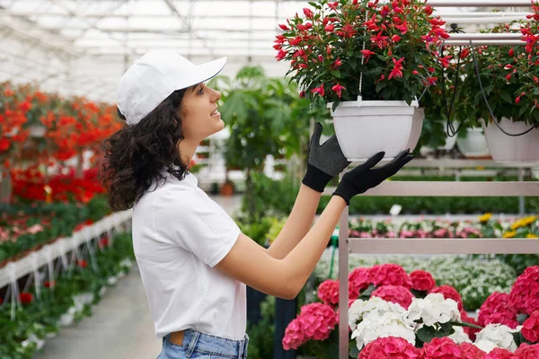 온실에서 식물을 돌보고 있는 젊은 여성 플로 리스트. — 스톡 사진