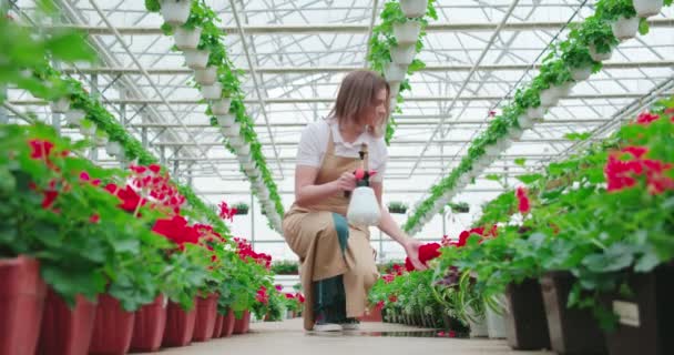 Woman watering beautiful flowerpots in glasshouse. — Stock Video