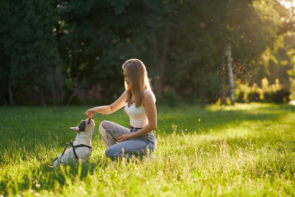 Junge lächelnde Frau trainiert französische Bulldogge im Park. — Stockfoto