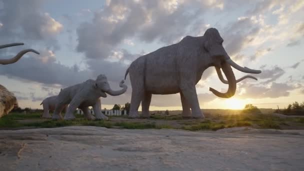 Huge mammoths herd statues outdoors. — Stock Video