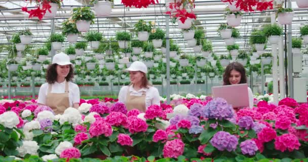 Vrouwen controleren mooie verschillende kleuren bloemen op laptop. — Stockvideo