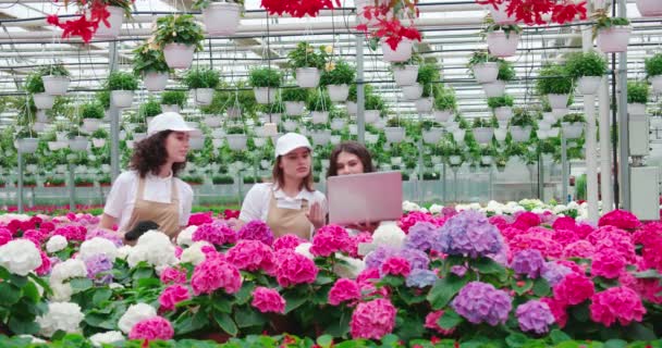 Mujeres buscando información en el portátil en invernadero. — Vídeos de Stock