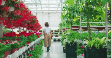 Serada büyük suları olan bej önlüklü bir kadın.. 