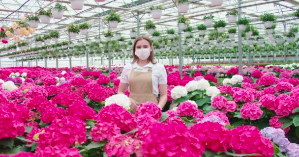 笑顔の女性がピンクの花を楽しんで嗅ぐ. — ストック動画