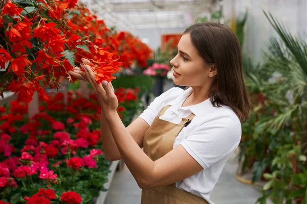 Cute woman admiring beautiful red and pink flowers. — Stock Photo, Image