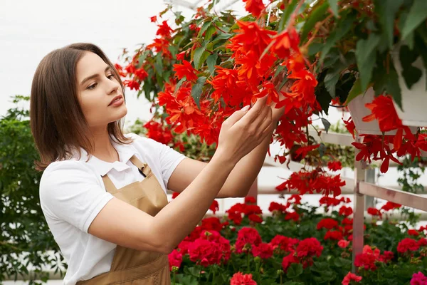 Aantrekkelijke vrouw bewondert de prachtige rode bloemen. — Stockfoto