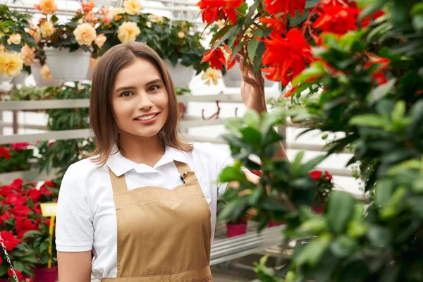 Woman standing near beautiful different colors flowers. — Stock Photo, Image