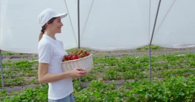 Serada yürüyen ve çilek taşıyan mutlu bir kadın.