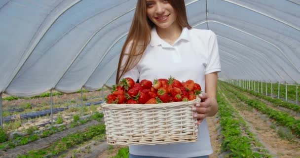 Glückliche Frau posiert im Gewächshaus mit Erdbeerkorb — Stockvideo
