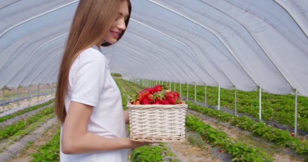 Jovem mulher segurando cesta cheia de morangos maduros frescos — Vídeo de Stock
