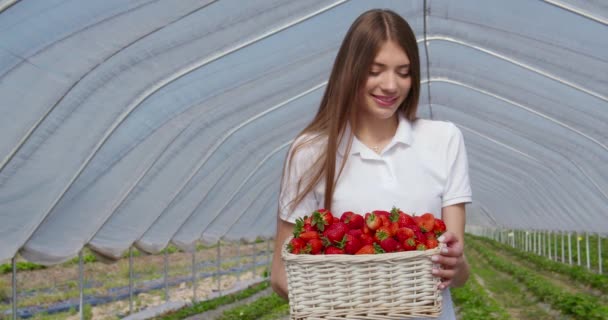 Portrait de femme tenant panier aux fraises mûres — Video