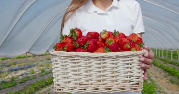 Sluiten van vrouwelijke tuinman met mand van aardbeien — Stockvideo