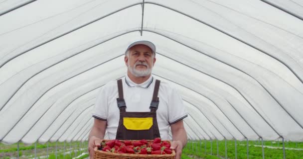 Senior man holding box with fresh strawberries outdoors — Stock Video