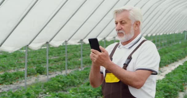 Agricultor usando teléfono celular para controlar el crecimiento de fresa — Vídeos de Stock