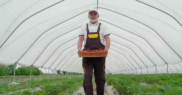 Elderly man keeping wicker basket with strawberries. — 비디오