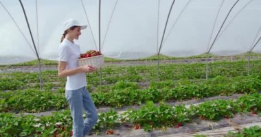 Çilekli sepet taşıyan mutlu kadın bahçıvan. 