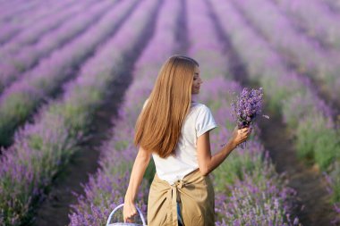 Gülen kadın sepetle yürüyor, lavanta tarlasında.