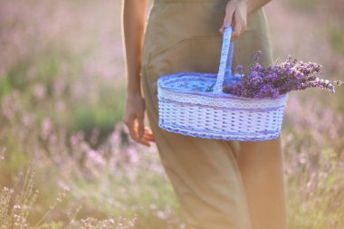 Elinde sepet lavanta çiçekleri tutan tanınmayan bir kız..