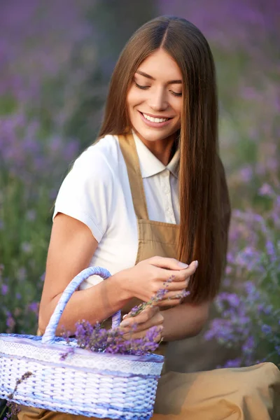 Senyum wanita dengan keranjang, lavender bidang. — Stok Foto