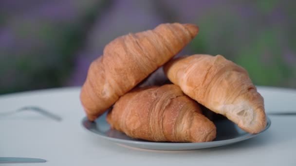 Croissanter serveras på bord i lavendelfält. — Stockvideo