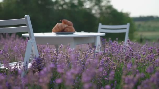 Croissants sur table dans un champ de lavande. — Video
