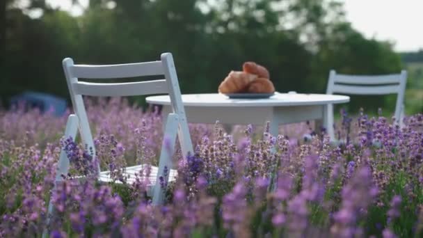 Croissants en la mesa en el campo de lavanda. — Vídeos de Stock