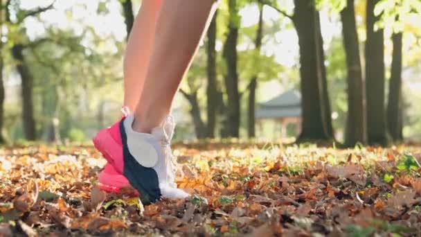 Primer plano de las piernas femeninas calentándose en el parque — Vídeos de Stock