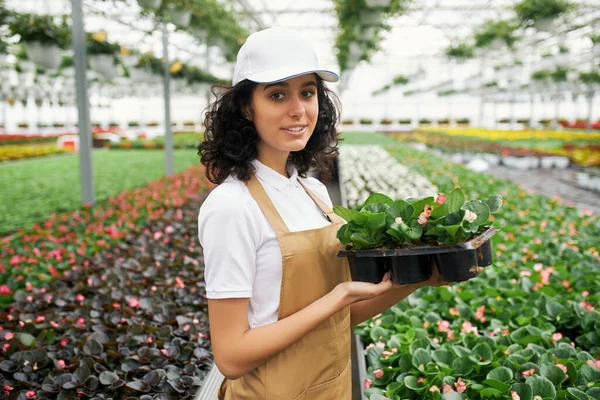Woman standing at greenhouse with flower pot in hands — Stock Photo, Image