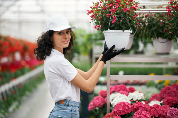 Female florist holding pot with blooming flower Royalty Free Stock Images